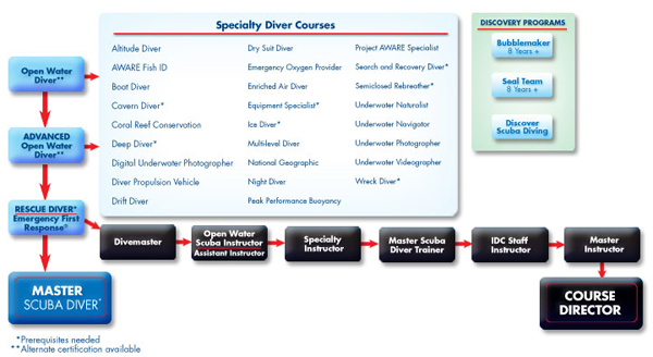 Barracuda Diving - Courses